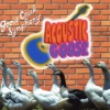Goose Creek Symphony - That's the World We're Livin' In Today