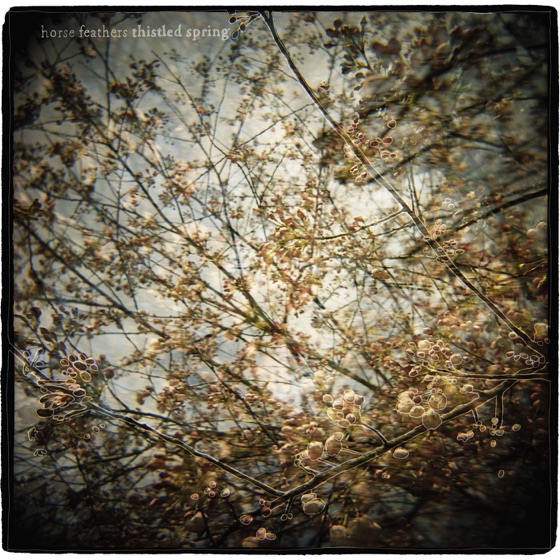 Cover artwork for Cascades