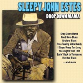 Sleepy John Estes - The Woman I Love, She Got Black Curly Hair