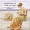 Johannes Moesus, South West German Chamber Orchestra, Pforzheim & Gaby Pas-Van Riet - Flute Concerto in C Major: II. Adagio