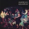 Anne Marie - American Aquarium lyrics