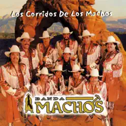 Los corridos de los machos - Banda Machos