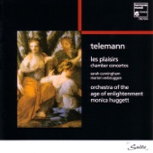 Telemann: Les plaisirs - Chamber Concertos artwork