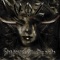 Coldness of Night - Voz lyrics