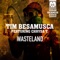 Wasteland (Lounge Mix) [feat. Chrysa T] - Tim Besamusca lyrics