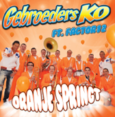 Oranje Springt (feat. Factor 12) - Gebroeders Ko
