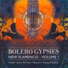 Bolero Gypsies-New Flamenco Vol. 1