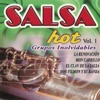 Grupos Inolvidables de Salsa Hot, Vol. 1, 2006