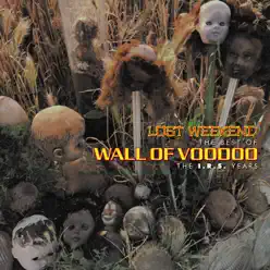 Lost Weekend: The Best of Wall of Voodoo - Wall Of Voodoo