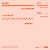 Trainmann (Tensnake Franceman Mix) artwork