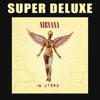 In Utero (20th Anniversary Super Deluxe) ジャケット写真