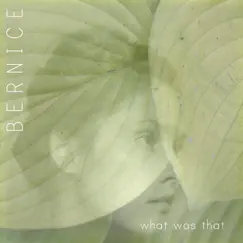 What Was That by Bernice album reviews, ratings, credits