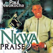 Nkwa Praise 2 artwork