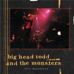 Big Head Todd & The Monsters - Bittersweet (Live)