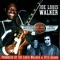 Bliss Street Blues - Joe Louis Walker lyrics