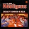 Big Pot Popah! - Los Hooligans lyrics