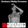 Zachary Philip Freeman - When Lighting Strikes