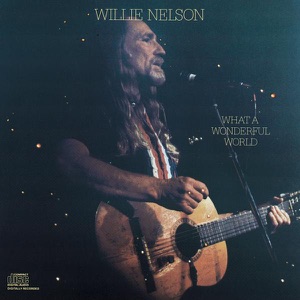 Willie Nelson - Ac-cent-tchu-ate the Positive - Line Dance Music