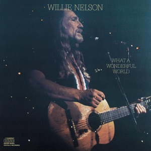 Willie Nelson - Ac-cent-tchu-ate the Positive - Line Dance Choreographer