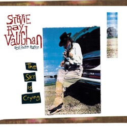 Stevie Ray Vaughan & Double Trouble - Life By the Drop