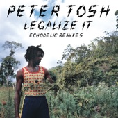 Legalize It (Echodelic Remixes) - EP artwork
