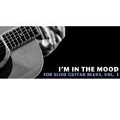 I'm in the Mood Slide Guitar Blues, Vol. 1 artwork