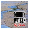 Muddy Waters