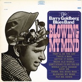 The Barry Goldberg Blues Band - Big Boss Man