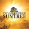 Private Guide (The Digital Edit) - Suntree lyrics