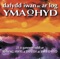 Y Pedwar Cae (Four Green Fields) - Dafydd Iwan ac Ar Log lyrics