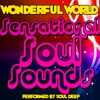 Wonderful World: Sensational Soul Sounds artwork