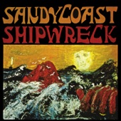 Sandy Coast - Eleanor Rigby