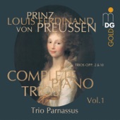 Piano Trio in a-Flat Major, Op. 2: III. Finale. Allegro con brio artwork