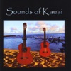 Sounds of Kauai artwork