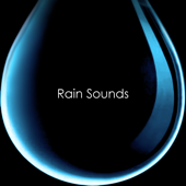 Woodland Rain - Nature Sounds