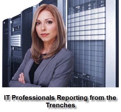 IT Professional Report From The Trenches cover