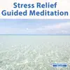 Stress Relief Guided Meditation album lyrics, reviews, download