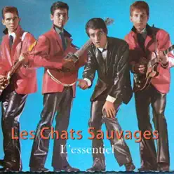 L'essentiel - Les Chats Sauvages L'essentiel - Les Chats Sauvages