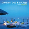 Grooves, Dub & Lounge Vol. 23