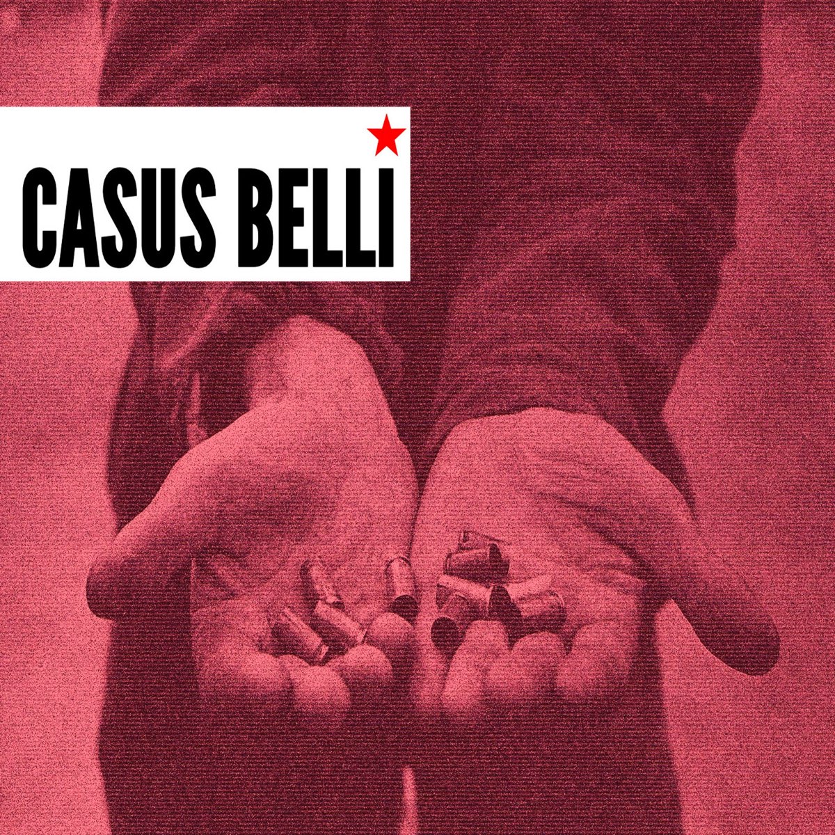 Casus belli перевод. Casus belli группа. Сфабриковать casus belli. Casus belli пропагандист.