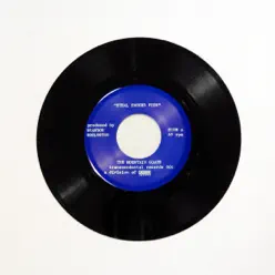 Steal Smoked Fish / In the Shadow of the Western Hills - Single - The Mountain Goats Steal Smoked Fish / In the Shadow of the Western Hills - Single - The Mountain Goats