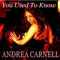 You Used to Know (Johnny Vicious Mix) - Andrea Carnell lyrics