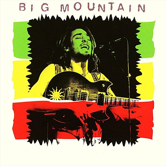Cover artwork for Reggae Inna Summertime