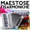 Maestose fisarmoniche, vol. 12