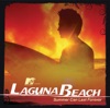 MTV Presents Laguna Beach - Summer Can Last Forever artwork