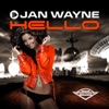 Jan Wayne - Hello (Remix)