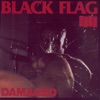 Rise Above - Black Flag Cover Art
