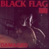 Black  Flag - Rise  Above