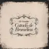 Catadô de Bromélias album lyrics, reviews, download
