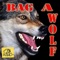 Bag a Wolf - Prince Jazzbo lyrics